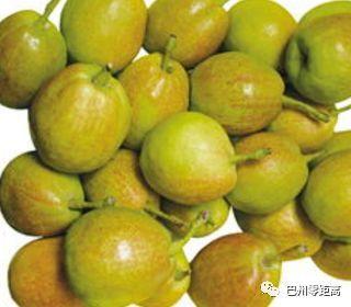 巴州特色農產品依托航空實現銷售突破