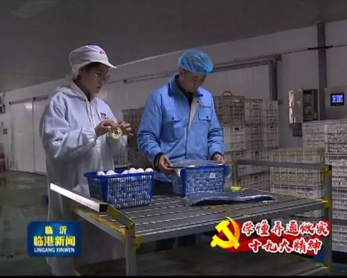 臨港農產品開啟 私人訂制 模式,銷量走俏備受青睞