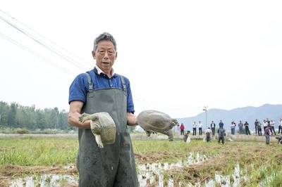 產業紀實 | 發展產業拔窮根 脫貧致富奔小康--我市開展產業扶貧推進精準脫貧紀事