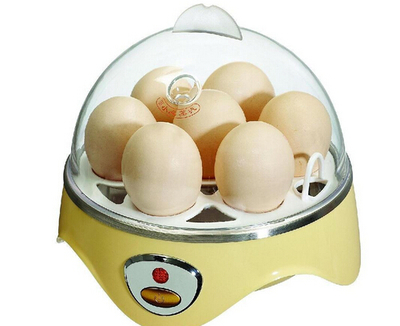 蒸蛋器使用與保養(yǎng)指南 實現高效便捷的廚房體驗