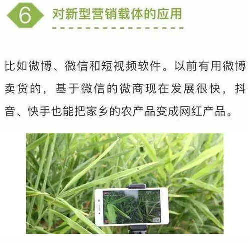 農業(yè)七大新型營銷模式，學會一個家禽銷售就能賺不少