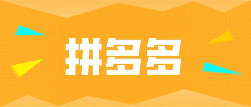 四川匯恒川實(shí)力解析與拼多多無貨源選品實(shí)戰(zhàn) 初級農(nóng)產(chǎn)品網(wǎng)上銷售指南