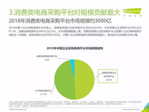 2019年中國企業(yè)采購電商市場深度解析 機(jī)遇、挑戰(zhàn)與未來趨勢